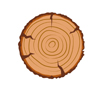 Wooden Case Manufacturing